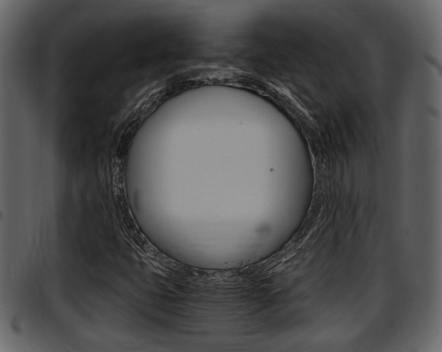 X0000097641399200802290811