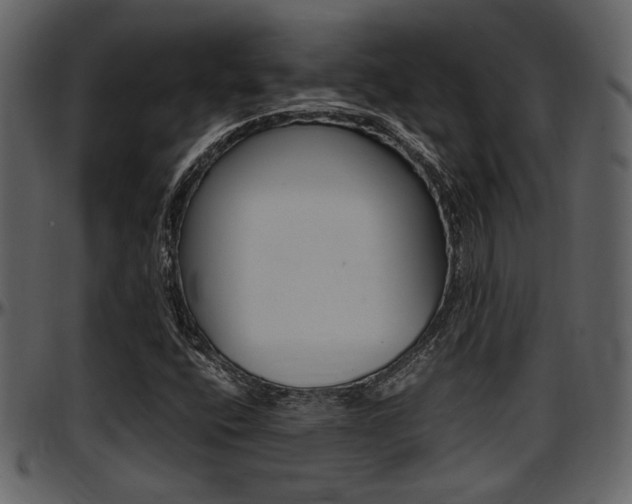 X0000097641400200802290811