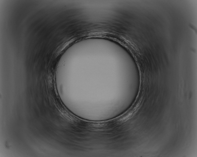 X0000097641401200802290811