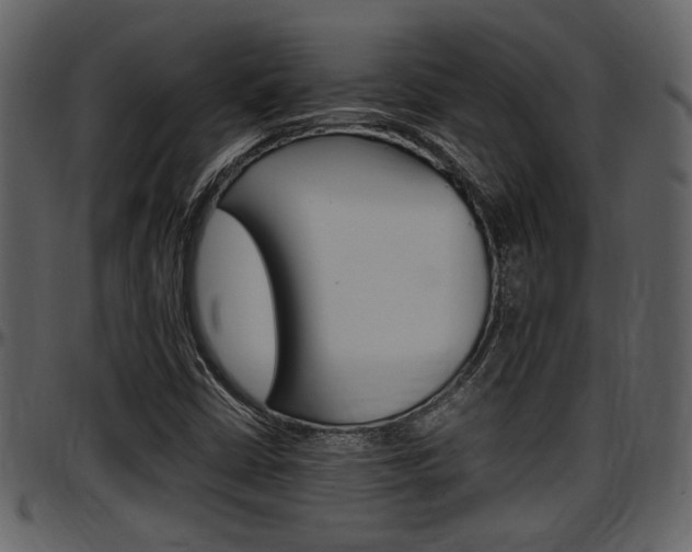 X0000097641402200802290811