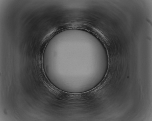 X0000097641403200802290811