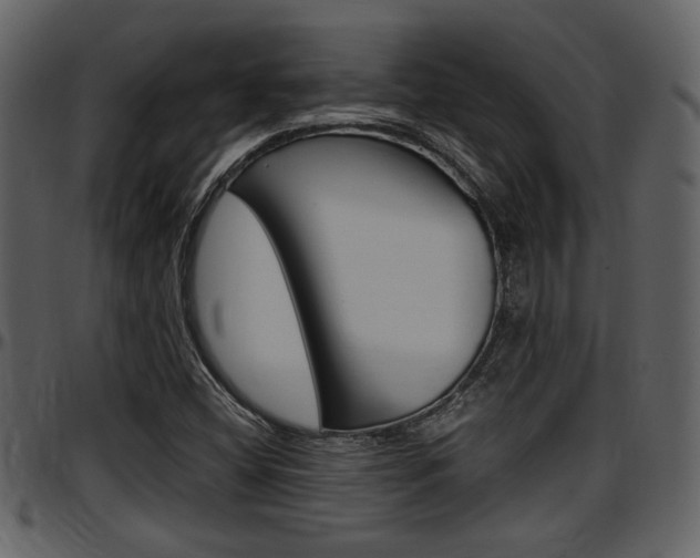 X0000097641404200802290811
