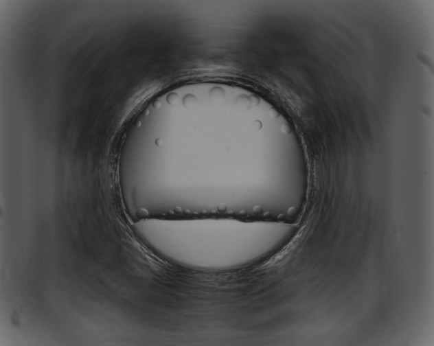 X0000097641405200802290811