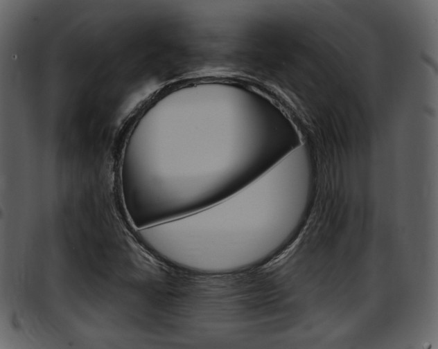 X0000097641406200802290811
