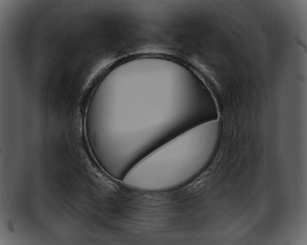 X0000097641408200802290811