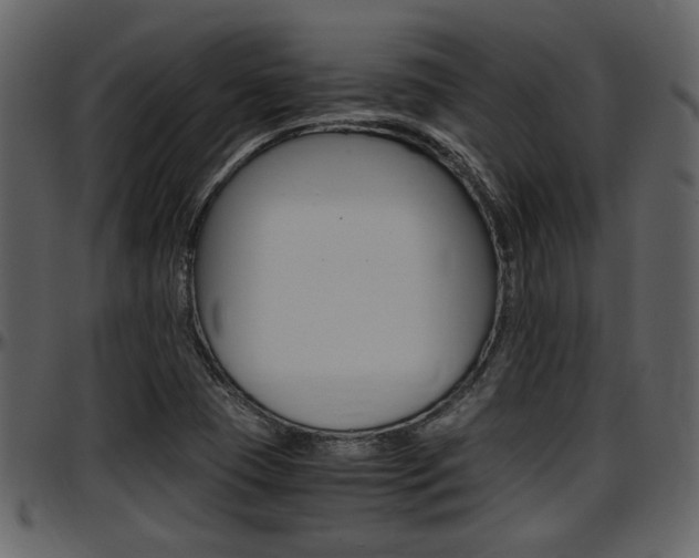X0000097641409200802290811