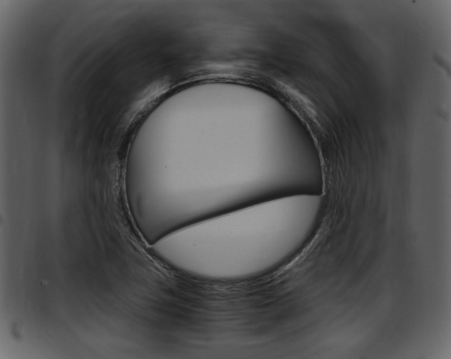 X0000097641411200802290811