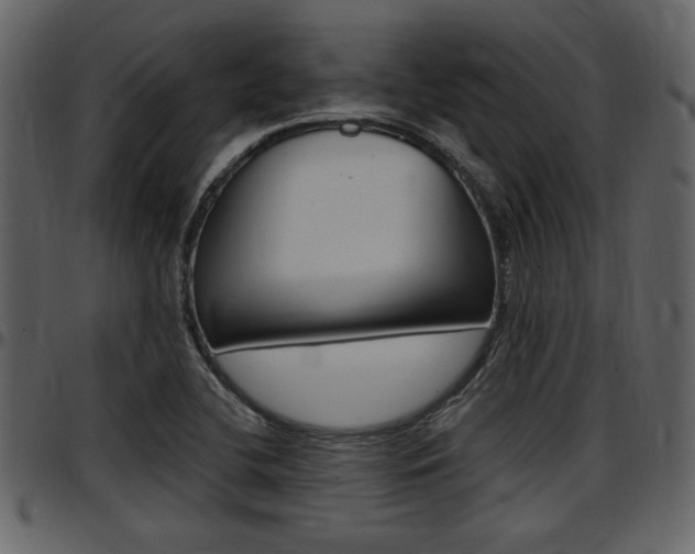 X0000097641412200802290811