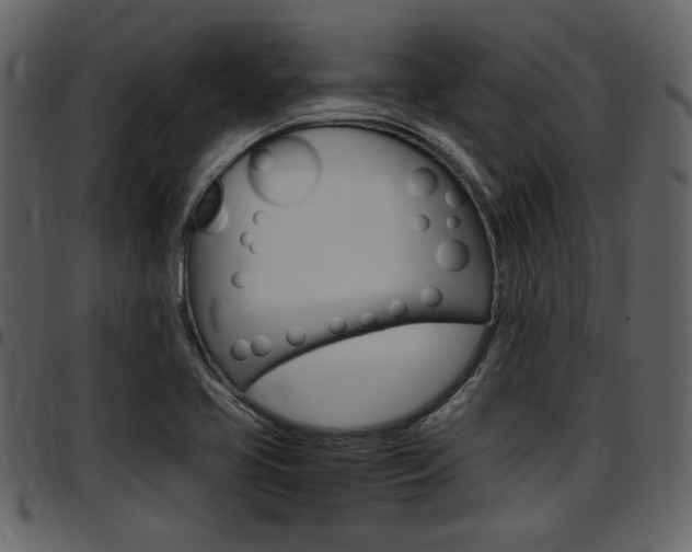 X0000097641413200802290811