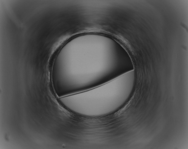 X0000097641414200802290811