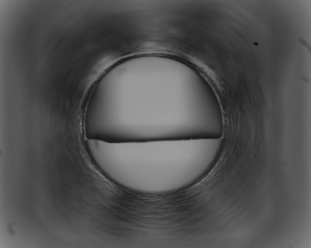 X0000097641415200802290811