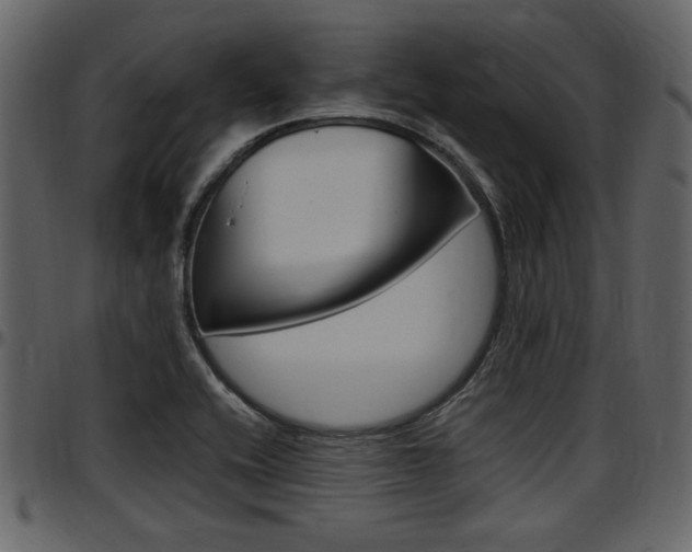 X0000097641416200802290811