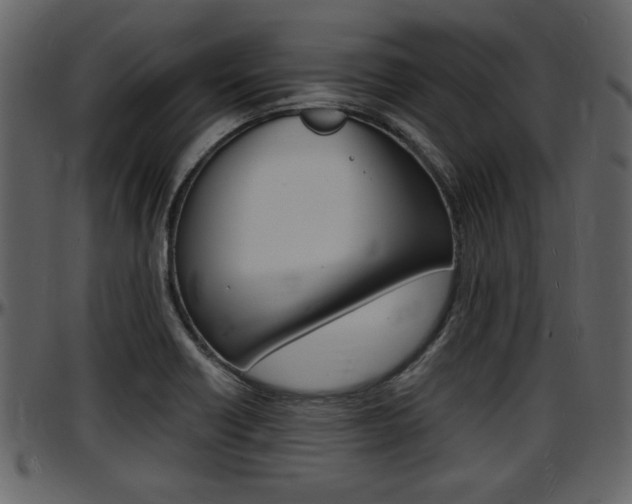 X0000097641418200802290811
