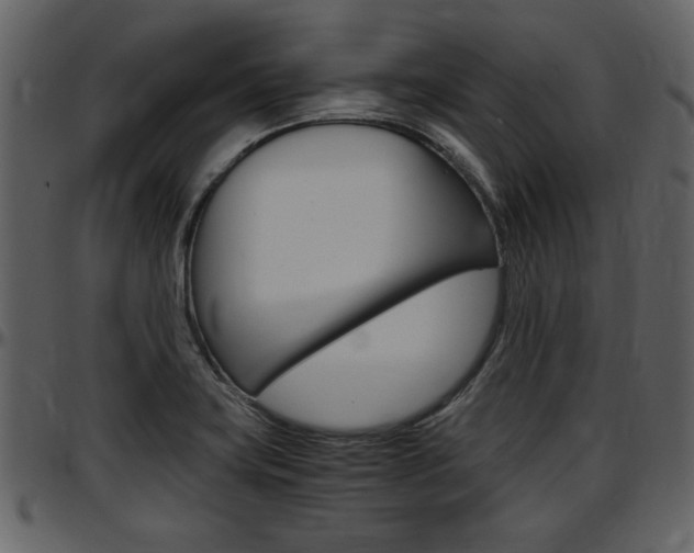 X0000097641419200802290811
