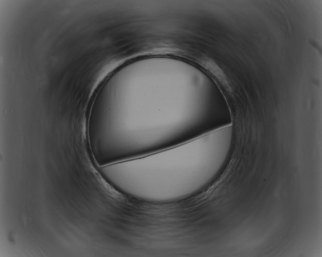 X0000097641420200802290811