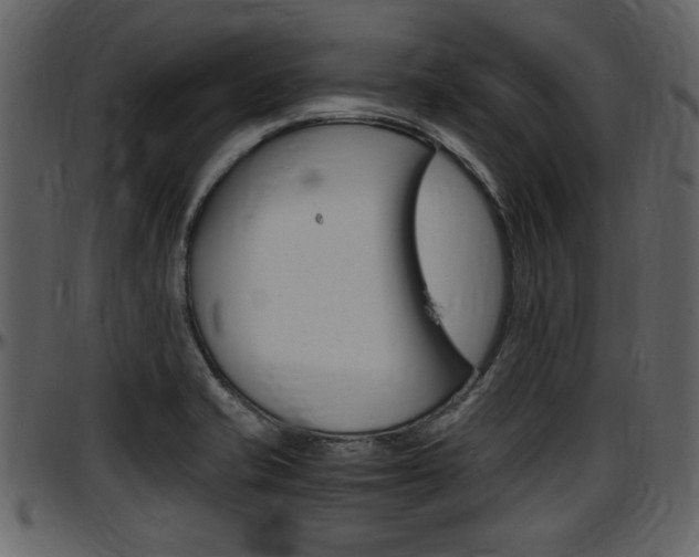 X0000097641421200802290811