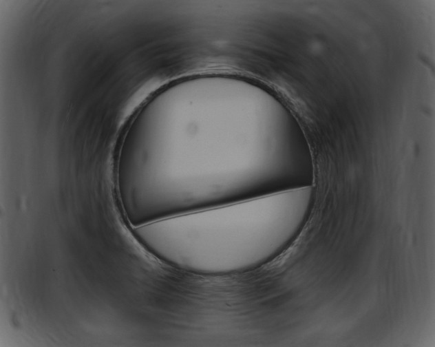X0000097641422200802290811