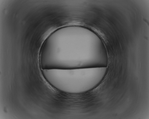 X0000097641423200802290811