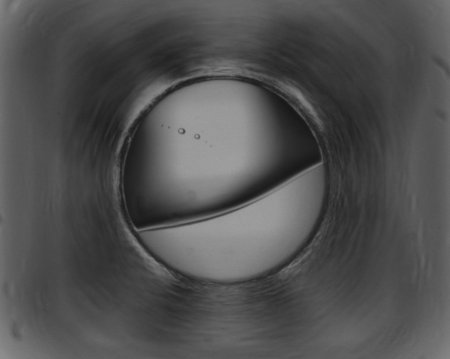 X0000097641424200802290811