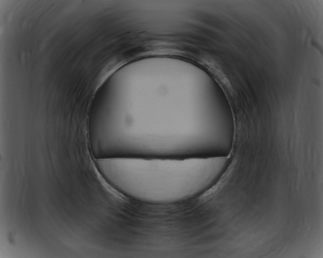 X0000097641425200802290811