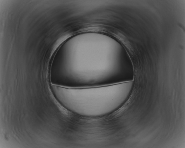 X0000097641426200802290811