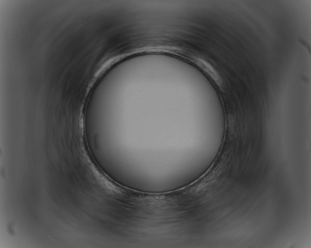X0000097641428200802290811
