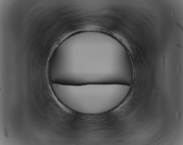 X0000097641429200802290811