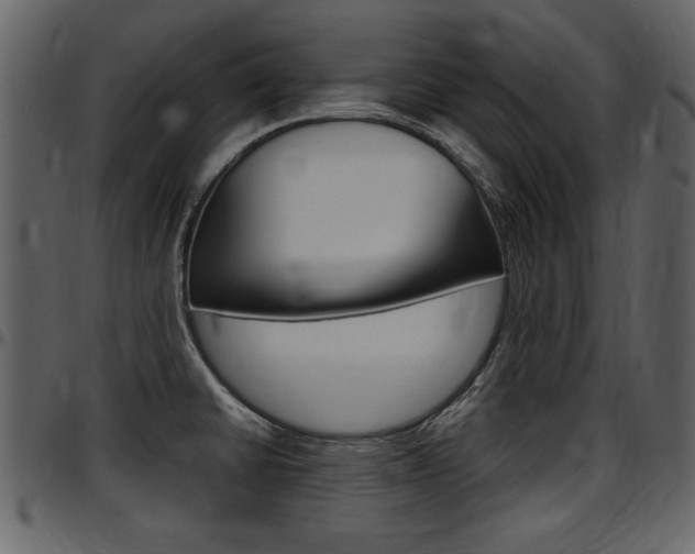 X0000097641430200802290811