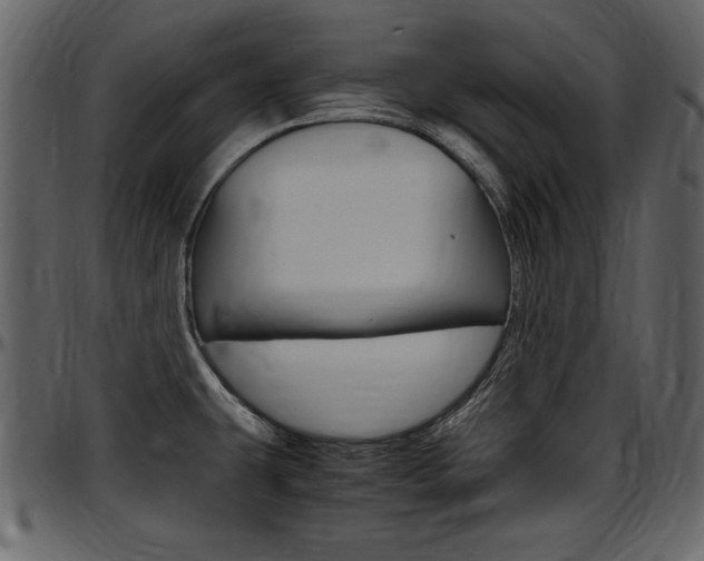 X0000097641431200802290811