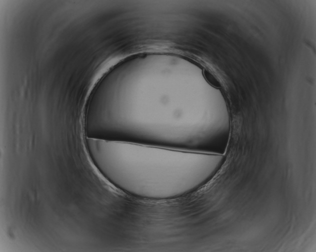 X0000097641432200802290811
