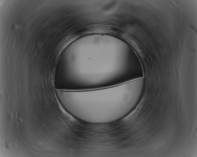 X0000097641433200802290811