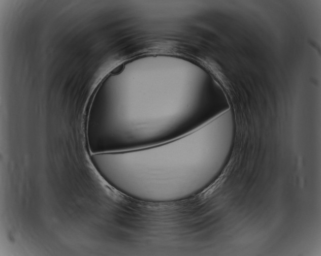 X0000097641434200802290811