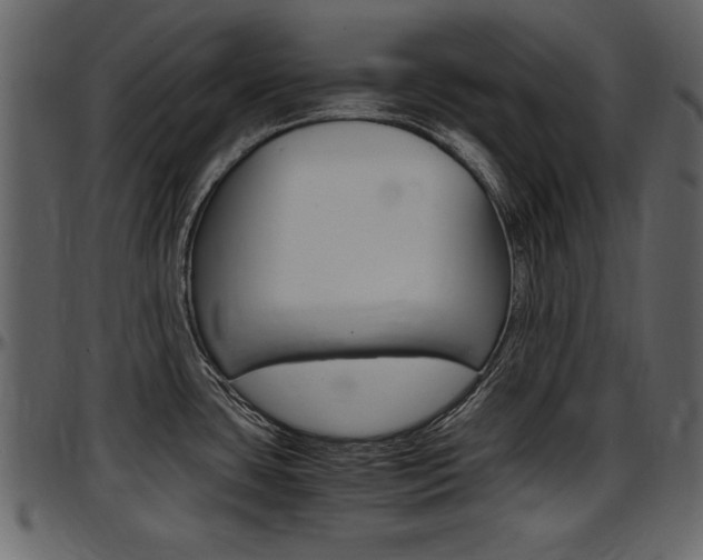 X0000097641435200802290811