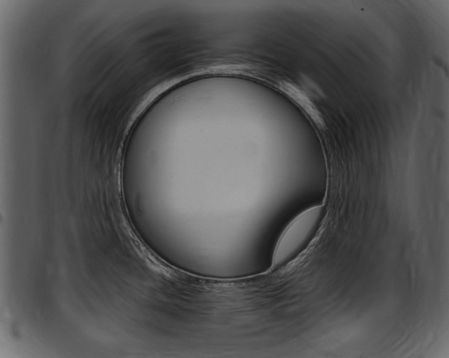 X0000097641436200802290811