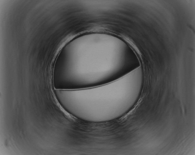 X0000097641437200802290811