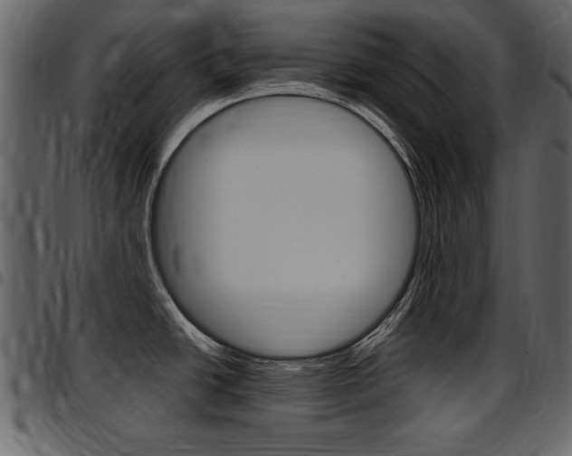 X0000097641438200802290811