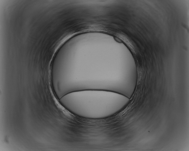 X0000097641439200802290811