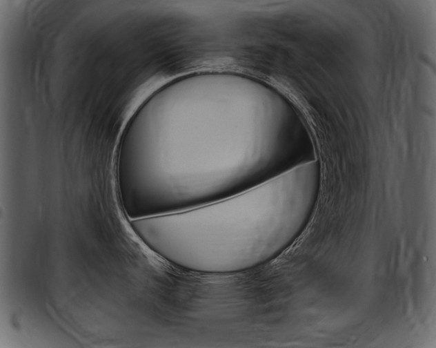 X0000097641440200802290811