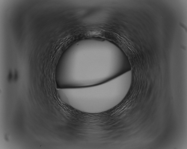 X0000097641441200802290811
