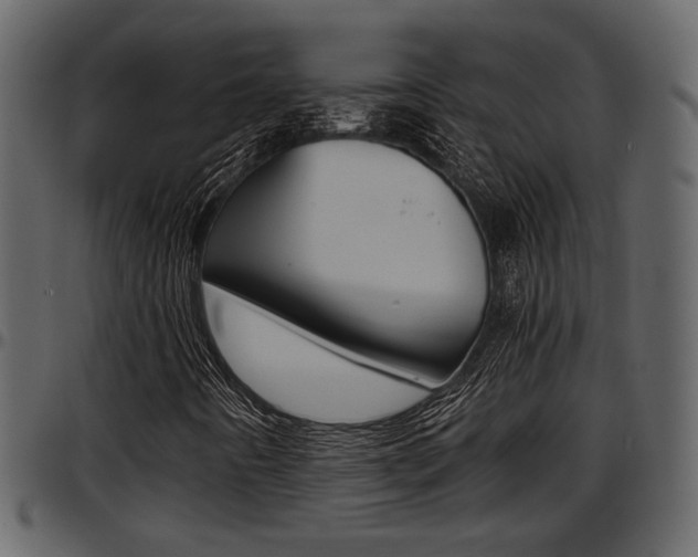 X0000097641442200802290811