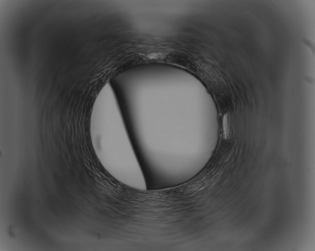 X0000097641443200802290811