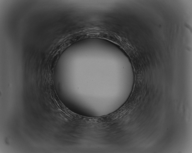X0000097641445200802290811