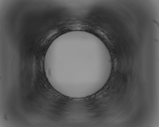 X0000097641446200802290811