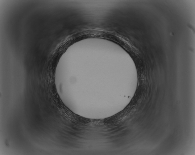 X0000097641447200802290811