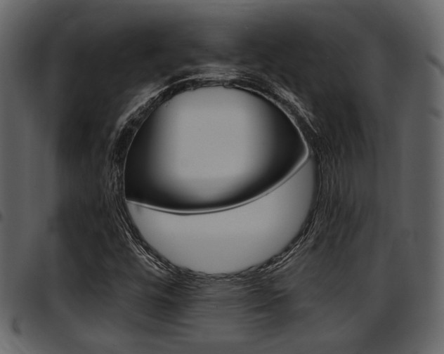 X0000097641448200802290811