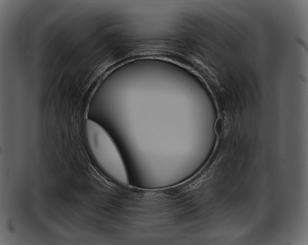 X0000097641449200802290810