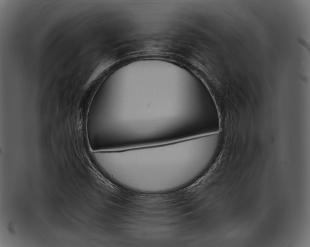 X0000097641450200802290810