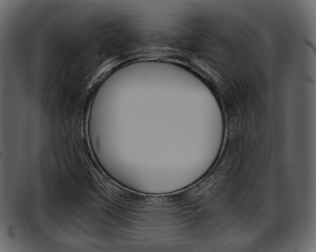 X0000097641451200802290810