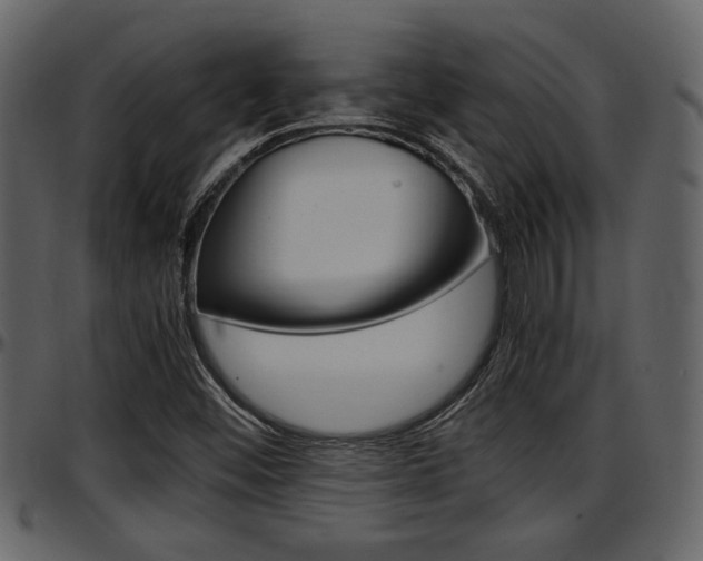 X0000097641452200802290810