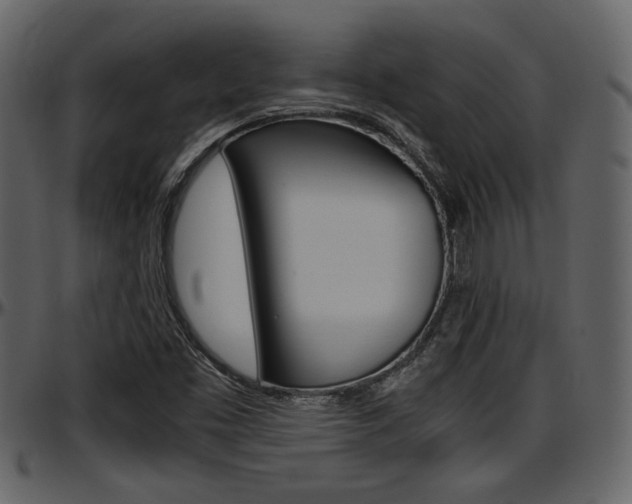 X0000097641453200802290810